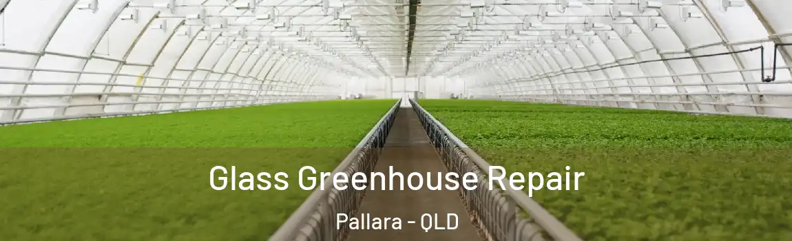 Glass Greenhouse Repair Pallara - QLD