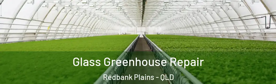 Glass Greenhouse Repair Redbank Plains - QLD