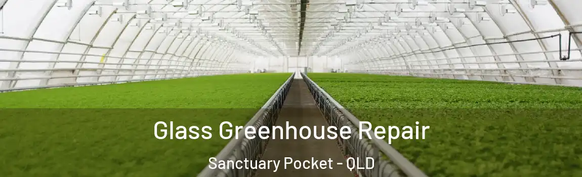 Glass Greenhouse Repair Sanctuary Pocket - QLD
