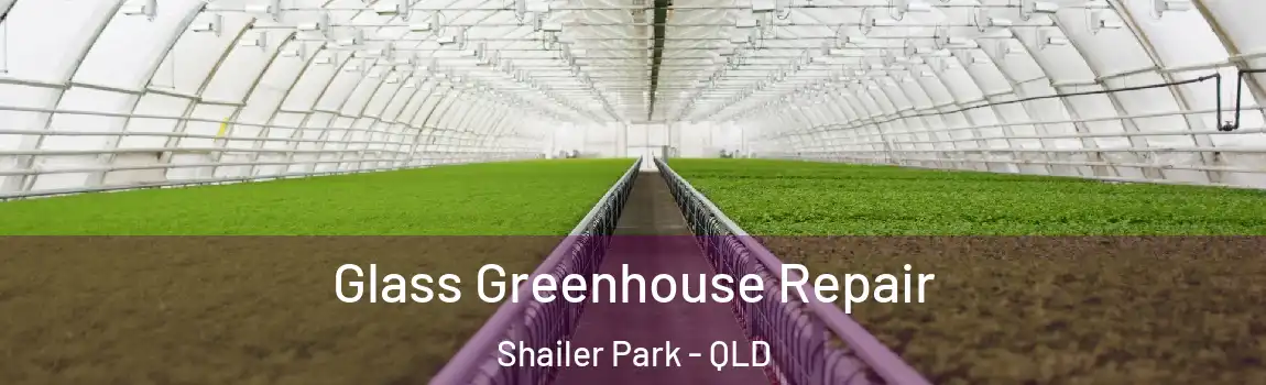 Glass Greenhouse Repair Shailer Park - QLD