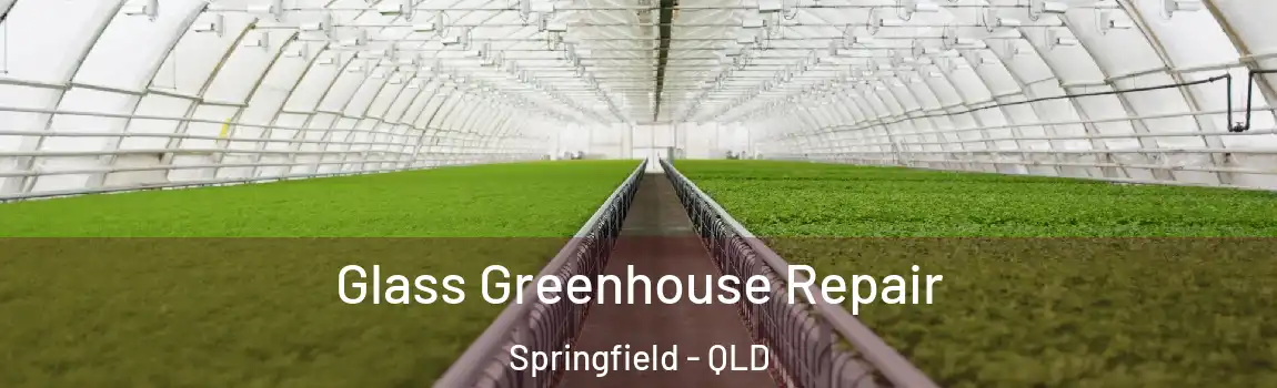 Glass Greenhouse Repair Springfield - QLD