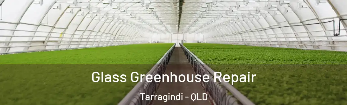 Glass Greenhouse Repair Tarragindi - QLD