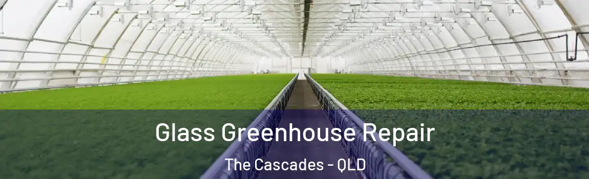 Glass Greenhouse Repair The Cascades - QLD