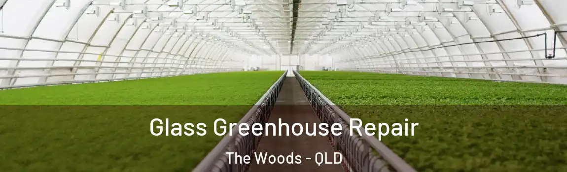 Glass Greenhouse Repair The Woods - QLD