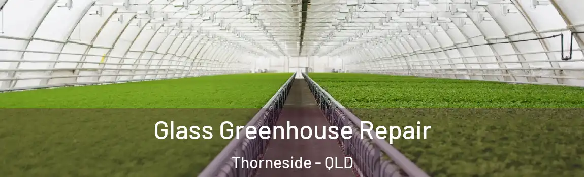 Glass Greenhouse Repair Thorneside - QLD