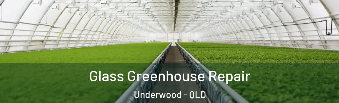 Glass Greenhouse Repair Underwood - QLD
