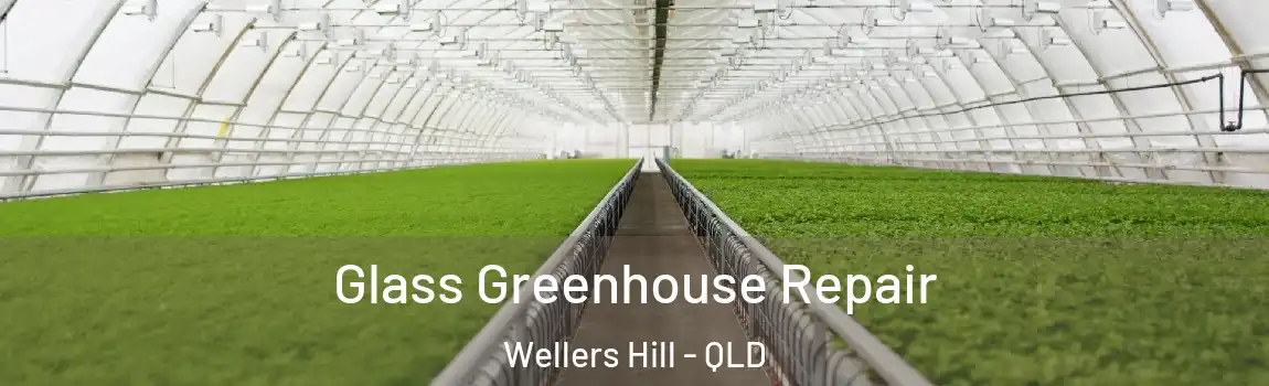  Glass Greenhouse Repair Wellers Hill - QLD