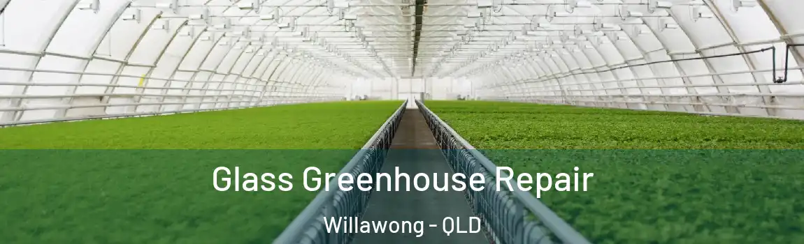 Glass Greenhouse Repair Willawong - QLD