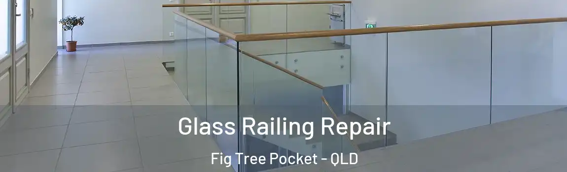 Glass Railing Repair Fig Tree Pocket - QLD