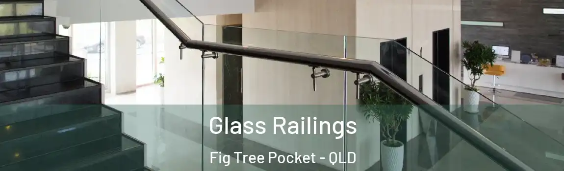 Glass Railings Fig Tree Pocket - QLD