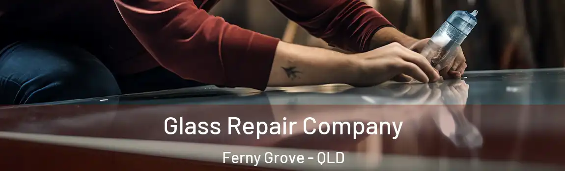 Glass Repair Company Ferny Grove - QLD