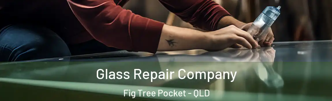 Glass Repair Company Fig Tree Pocket - QLD