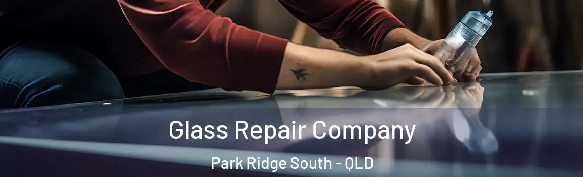 Glass Repair Company Park Ridge South - QLD
