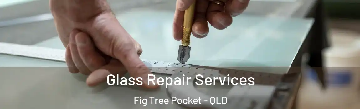 Glass Repair Services Fig Tree Pocket - QLD