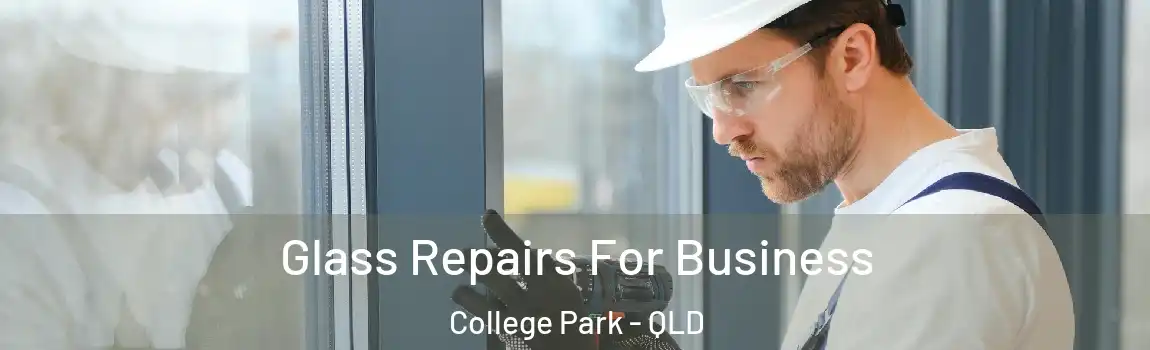 Glass Repairs For Business College Park - QLD