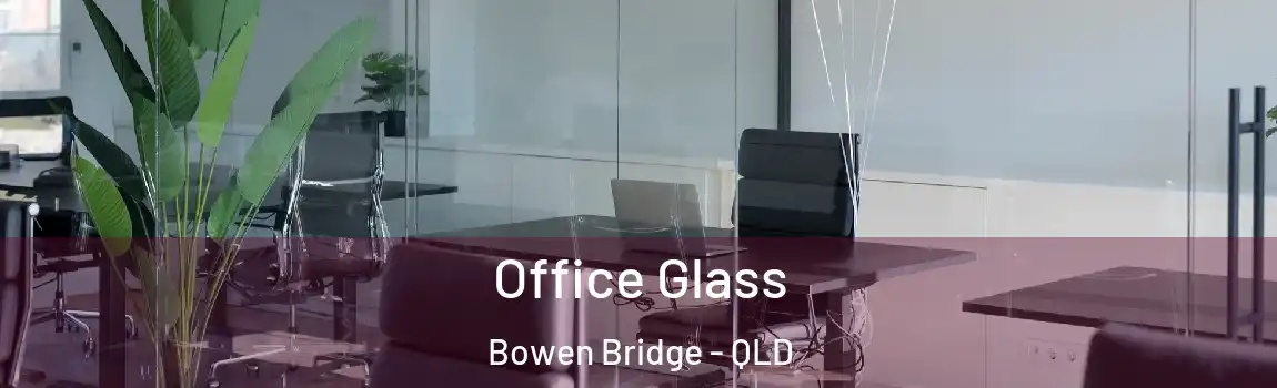 Office Glass Bowen Bridge - QLD