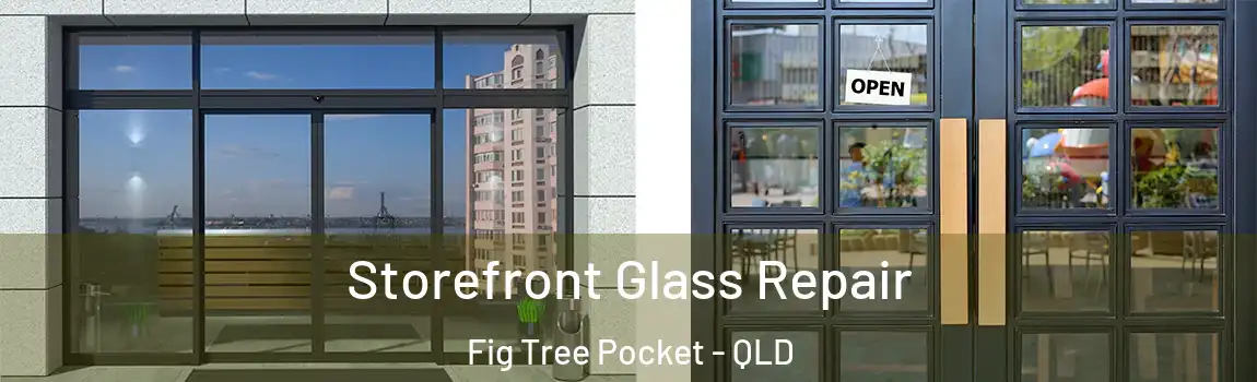 Storefront Glass Repair Fig Tree Pocket - QLD