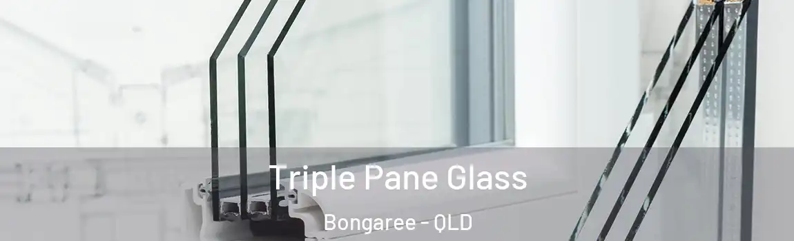 Triple Pane Glass Bongaree - QLD