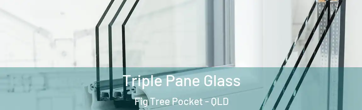 Triple Pane Glass Fig Tree Pocket - QLD