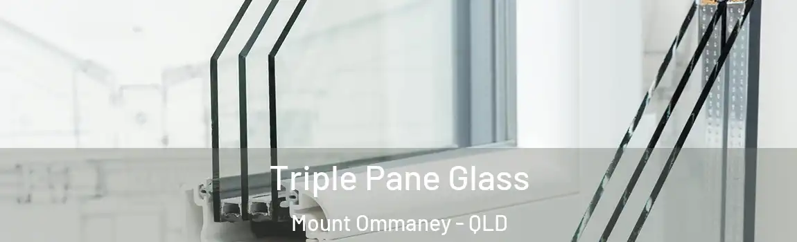 Triple Pane Glass Mount Ommaney - QLD