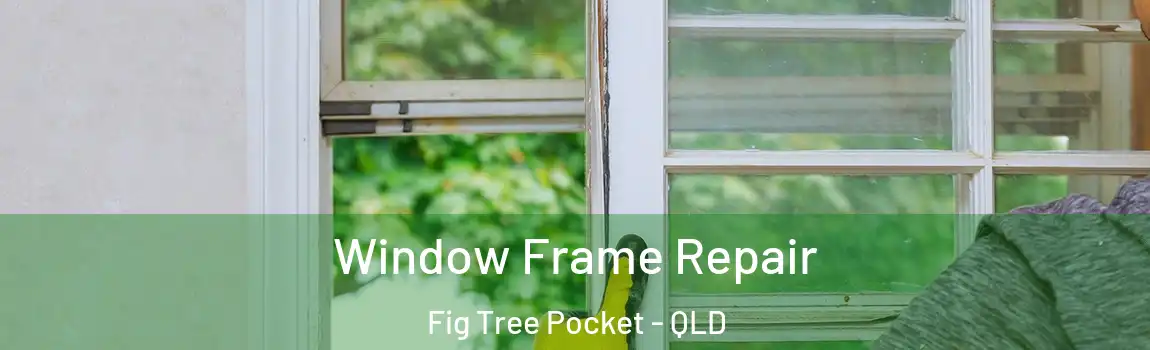 Window Frame Repair Fig Tree Pocket - QLD