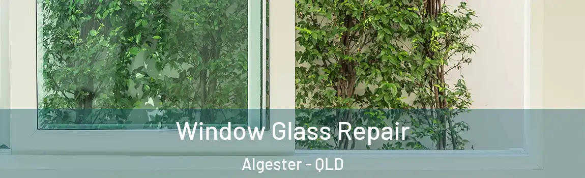 Window Glass Repair Algester - QLD