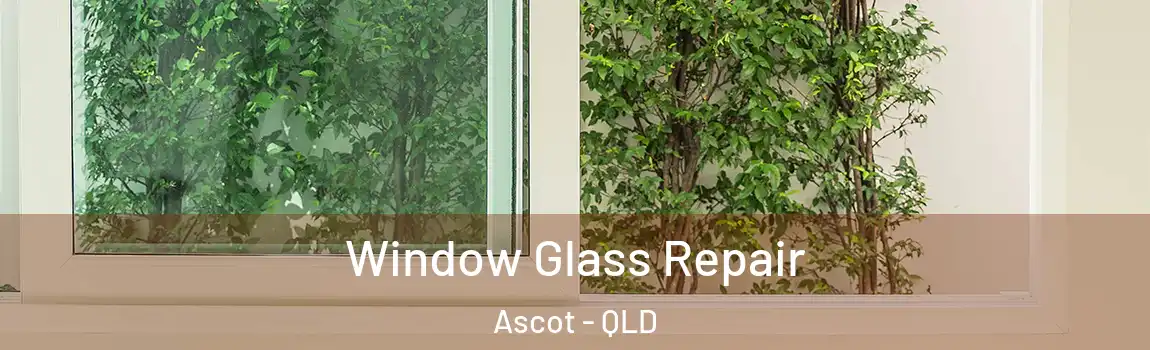 Window Glass Repair Ascot - QLD