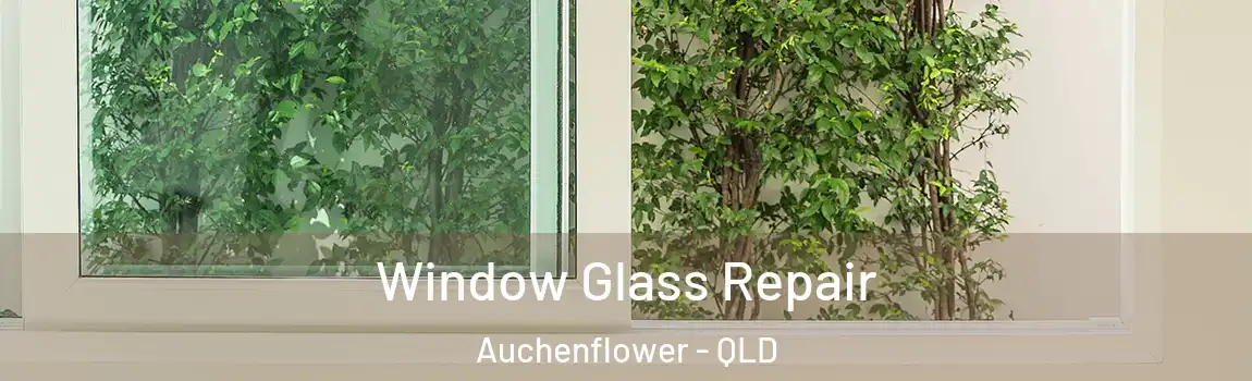 Window Glass Repair Auchenflower - QLD