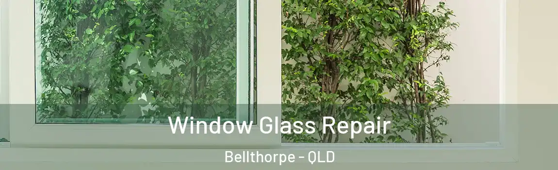 Window Glass Repair Bellthorpe - QLD