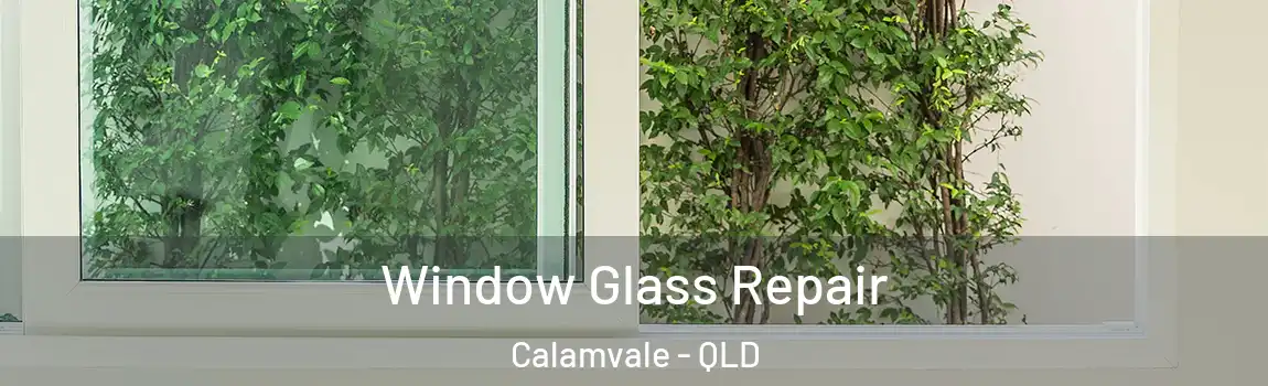 Window Glass Repair Calamvale - QLD
