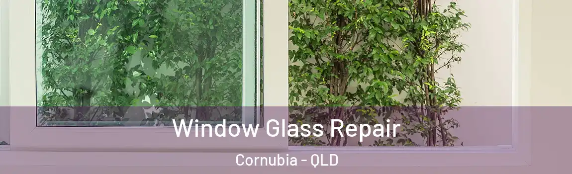 Window Glass Repair Cornubia - QLD