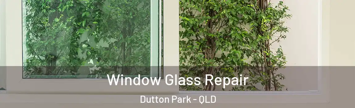 Window Glass Repair Dutton Park - QLD