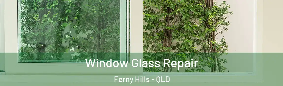 Window Glass Repair Ferny Hills - QLD