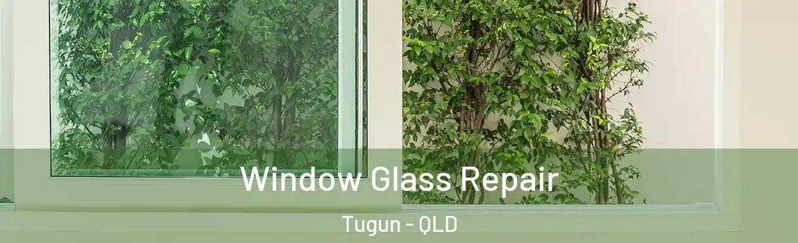 Window Glass Repair Tugun - QLD