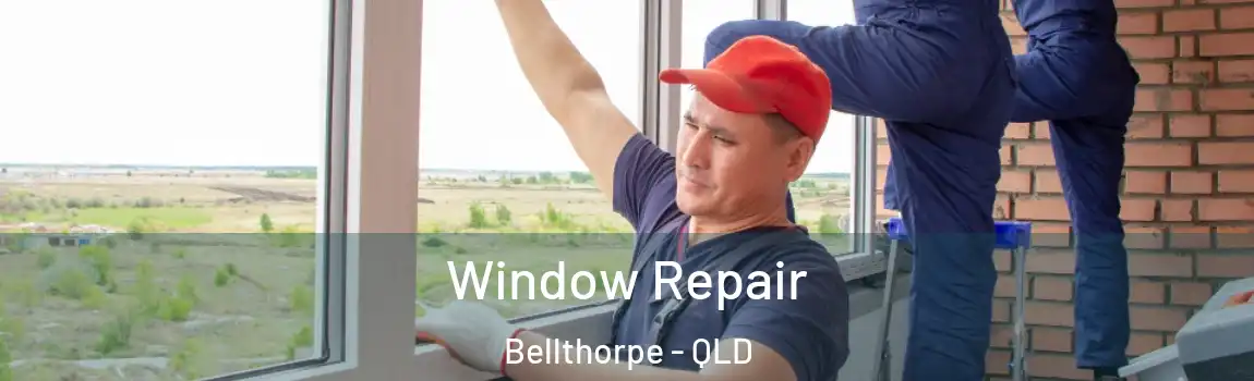 Window Repair Bellthorpe - QLD