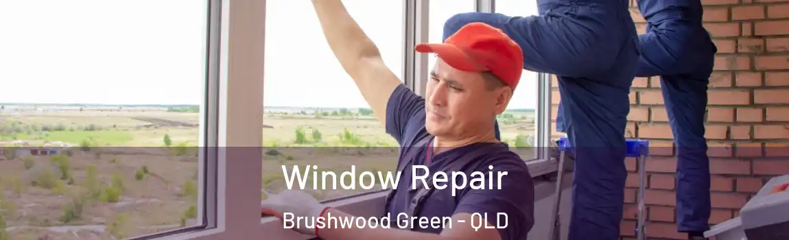  Window Repair Brushwood Green - QLD