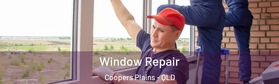 Window Repair Coopers Plains - QLD