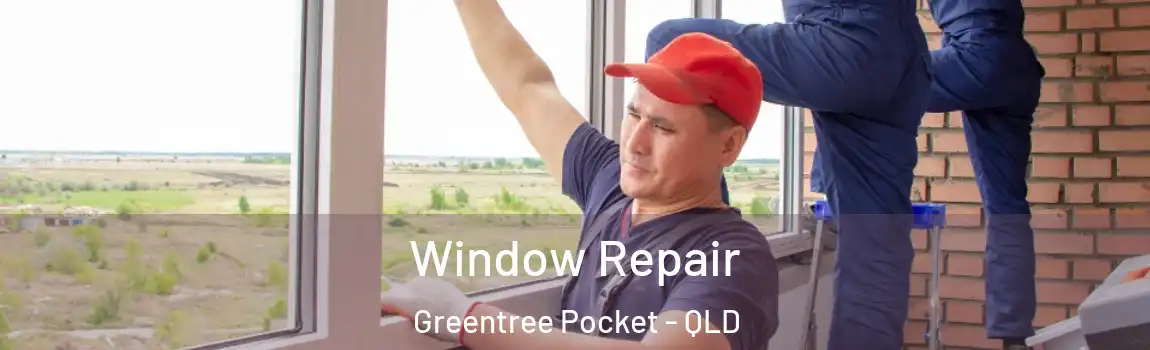 Window Repair Greentree Pocket - QLD