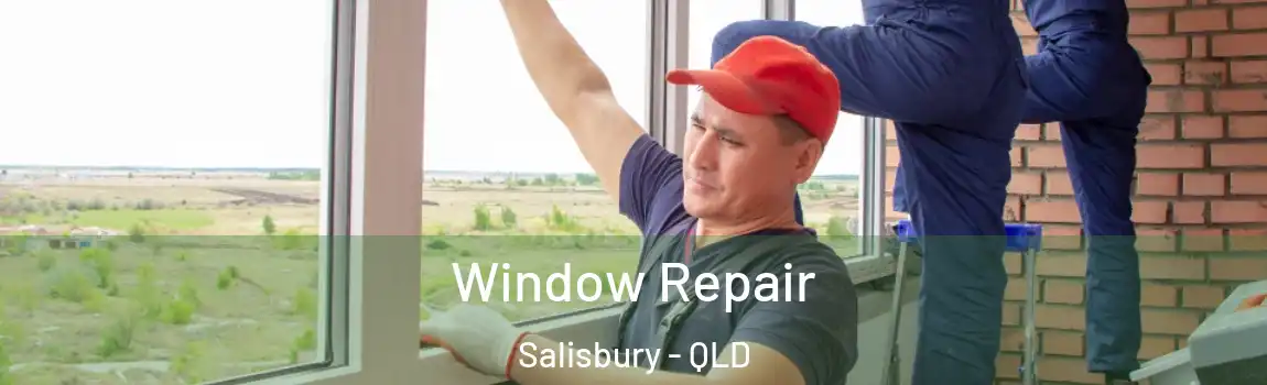 Window Repair Salisbury - QLD