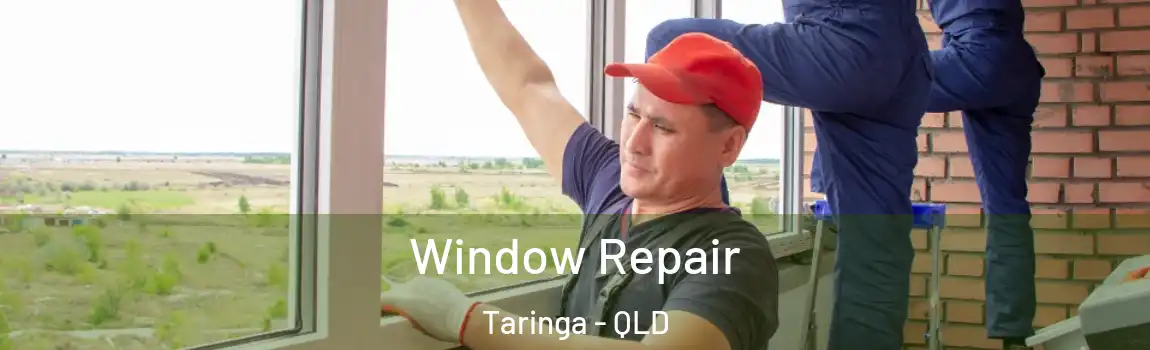 Window Repair Taringa - QLD
