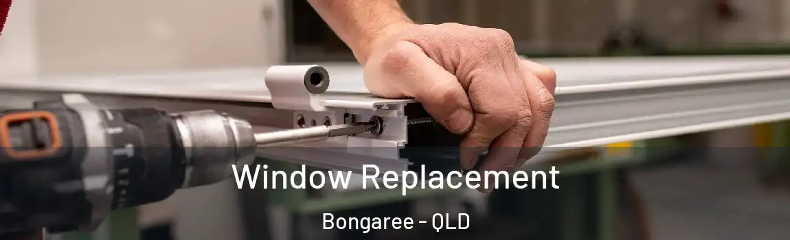 Window Replacement Bongaree - QLD