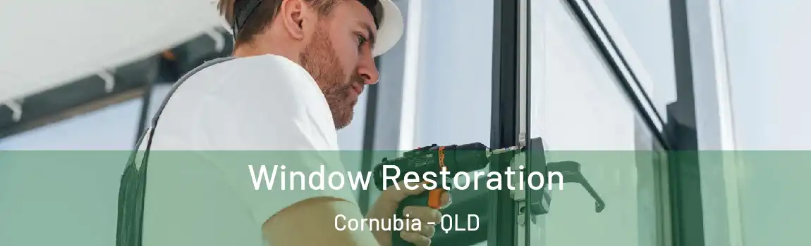 Window Restoration Cornubia - QLD