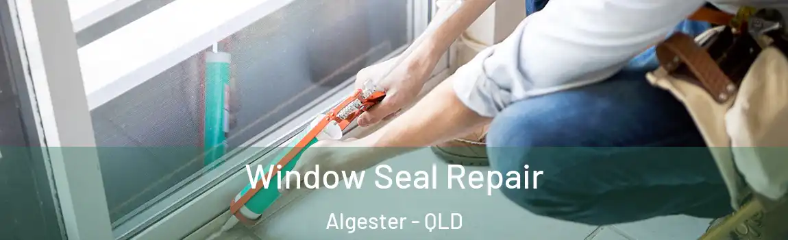 Window Seal Repair Algester - QLD