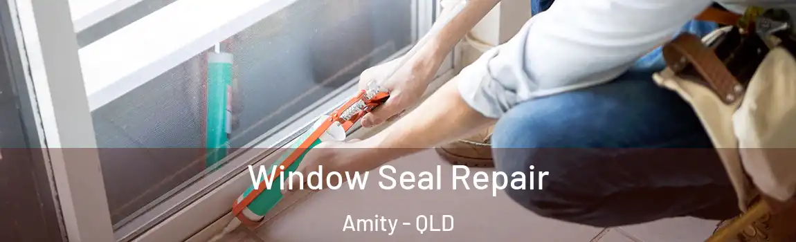 Window Seal Repair Amity - QLD