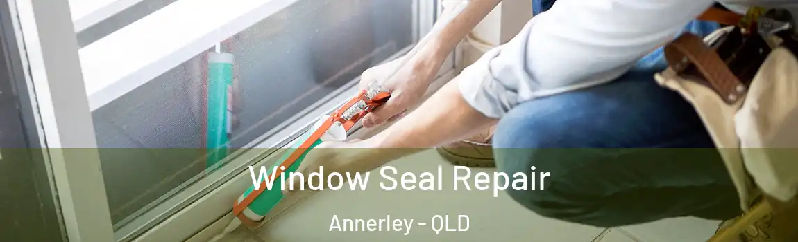 Window Seal Repair Annerley - QLD