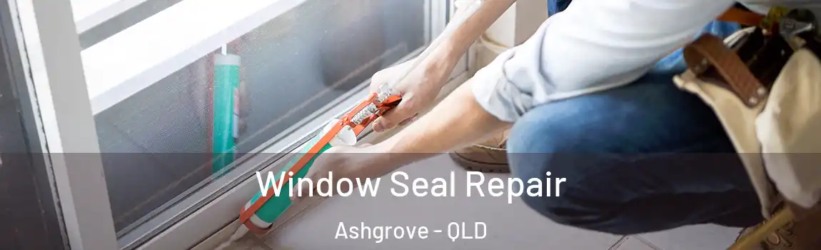 Window Seal Repair Ashgrove - QLD