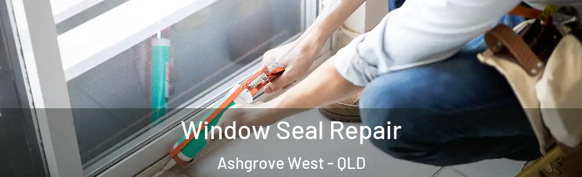  Window Seal Repair Ashgrove West - QLD