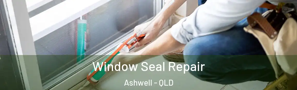 Window Seal Repair Ashwell - QLD