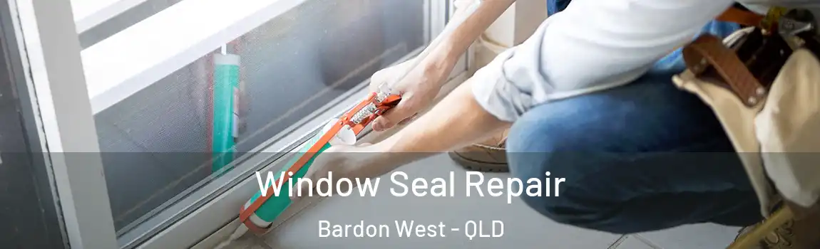  Window Seal Repair Bardon West - QLD
