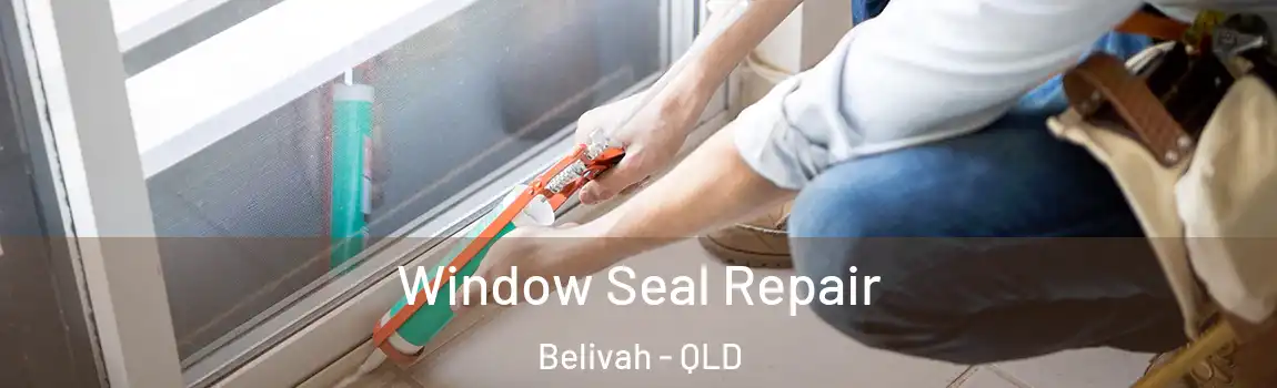 Window Seal Repair Belivah - QLD